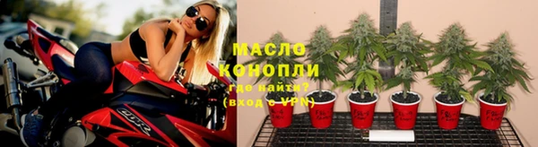 твердый Бородино
