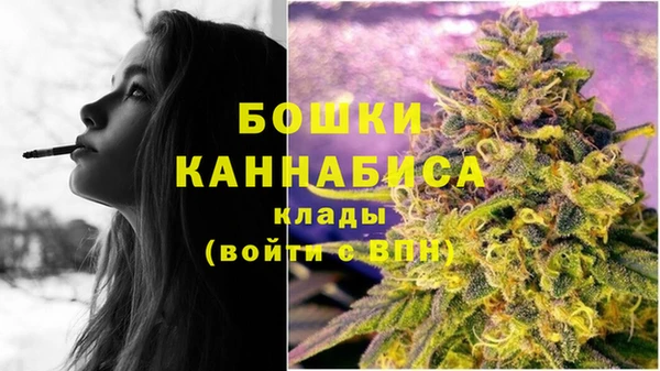твердый Бородино