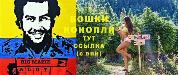 твердый Бородино