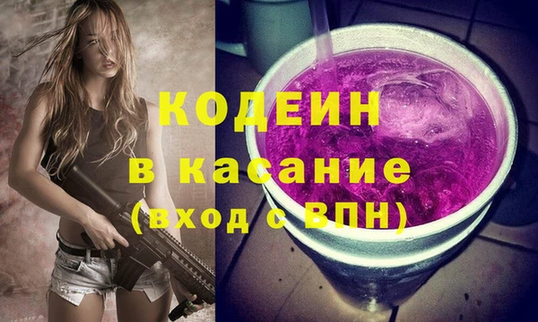 твердый Бородино