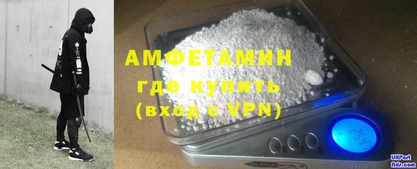 твердый Бородино