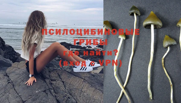 твердый Бородино
