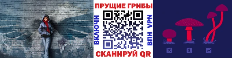 Псилоцибиновые грибы Psilocybine cubensis блэк спрут маркетплейс Белинский
